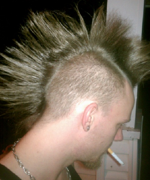 Giant Mohawk