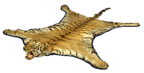 Tiger Rug