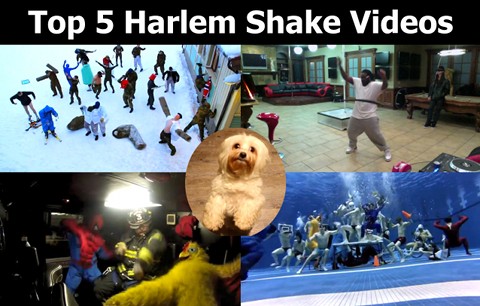 Top 5 Harlem Shake Videos