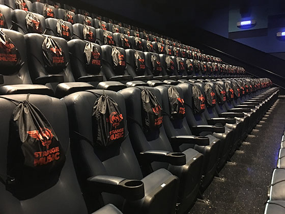 VIP bags in theater