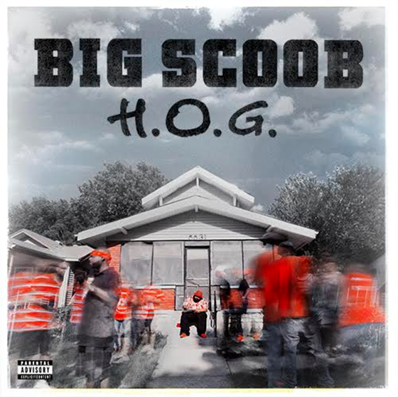 big-scoob-hog